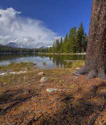 Kamas Teapot Lake Utah Autumn Fall Color Colorful Prints For Sale Stock Photos - 015227 - 28-09-2014 - 7234x8521 Pixel Kamas Teapot Lake Utah Autumn Fall Color Colorful Prints For Sale Stock Photos Photography Prints For Sale Image Stock Art Photography Gallery Fine Art Printing...