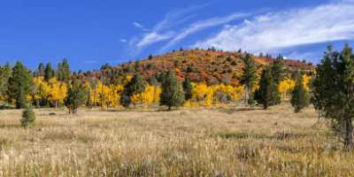 Kamas Yellow Pine Creek Utah Mountain Range Autumn Summer What Is Fine Art Photography - 014468 - 11-10-2014 - 15060x6431 Pixel Kamas Yellow Pine Creek Utah Mountain Range Autumn Summer What Is Fine Art Photography Fine Art Photography Prints For Sale Sea Fine Art Ice Fog Snow Nature...