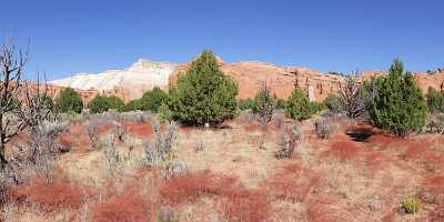 Kodachrome Basin State Park Utah Colorful Landscape Red Country Road Fine Art Landscape Photography - 006435 - 12-10-2010 - 10757x4203 Pixel Kodachrome Basin State Park Utah Colorful Landscape Red Country Road Fine Art Landscape Photography Fine Art Giclee Printing Fine Art America Color Art Prints...