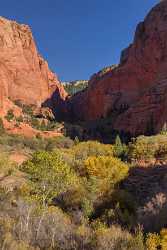 Cedar City Kolob Canyon Lee Pass Blue Sky Fine Art Prints For Sale Sale Fine Art Pictures - 014346 - 16-10-2014 - 7237x11755 Pixel Cedar City Kolob Canyon Lee Pass Blue Sky Fine Art Prints For Sale Sale Fine Art Pictures Fine Art Nature Photography Stock Modern Wall Art Image Stock Art...