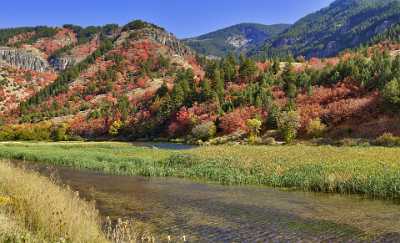 Logan Valley Utah River Tree Autumn Color Colorful Shore Fine Art Landscape Photography Ice - 011874 - 01-10-2012 - 11763x7150 Pixel Logan Valley Utah River Tree Autumn Color Colorful Shore Fine Art Landscape Photography Ice Fine Art Landscape Order Nature Art Photography Gallery Town Fine...