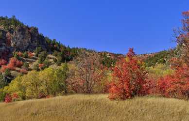 Logan Valley Utah River Tree Autumn Color Colorful Landscape Fine Art Photos Park Sky Ice - 011875 - 01-10-2012 - 11599x7453 Pixel Logan Valley Utah River Tree Autumn Color Colorful Landscape Fine Art Photos Park Sky Ice Fine Art Photography Prints For Sale Sea Cloud Shore Leave Creek Fine...