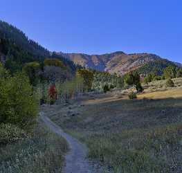 Logan Valley Utah River Tree Autumn Color Colorful Art Prints For Sale Order Forest Summer - 011883 - 01-10-2012 - 7122x6777 Pixel Logan Valley Utah River Tree Autumn Color Colorful Art Prints For Sale Order Forest Summer Fine Art Posters Fine Art Prints Famous Fine Art Photographers Spring...