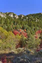 Logan Valley Utah River Tree Autumn Color Colorful Animal Barn Images Stock Photos Rock - 011885 - 01-10-2012 - 7052x11072 Pixel Logan Valley Utah River Tree Autumn Color Colorful Animal Barn Images Stock Photos Rock Royalty Free Stock Images Prints Photography Prints For Sale Fine Arts...