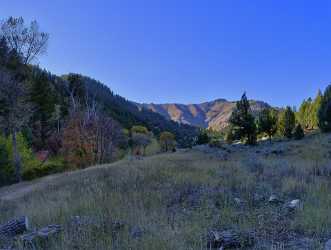 Logan Valley Utah River Tree Autumn Color Colorful Royalty Free Stock Photos Rain Island - 011886 - 01-10-2012 - 11106x8378 Pixel Logan Valley Utah River Tree Autumn Color Colorful Royalty Free Stock Photos Rain Island Fine Art Landscape Photography Photo Fine Art Fine Art Photos Sky Fine...