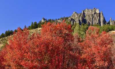 Logan Valley Utah River Tree Autumn Color Colorful Art Prints For Sale Modern Wall Art Sea - 011887 - 01-10-2012 - 11868x7133 Pixel Logan Valley Utah River Tree Autumn Color Colorful Art Prints For Sale Modern Wall Art Sea Fine Art Photography Prints Rock Fine Art America Fine Art...