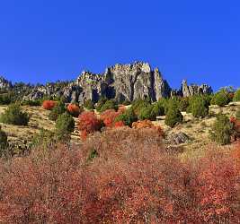 Logan Valley Utah River Tree Autumn Color Colorful Outlook Pass Spring Winter - 011888 - 01-10-2012 - 7077x6639 Pixel Logan Valley Utah River Tree Autumn Color Colorful Outlook Pass Spring Winter Fine Art Prints For Sale Summer Fine Art Landscapes Leave Image Stock Town Fine...