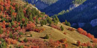 Logan Valley Utah River Tree Autumn Color Colorful Modern Art Print Stock Images Town - 011891 - 01-10-2012 - 14845x7107 Pixel Logan Valley Utah River Tree Autumn Color Colorful Modern Art Print Stock Images Town Fine Art Print Fine Art Fine Art Prints Pass Lake Senic Fine Art Pictures...