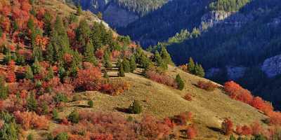 Logan Valley Utah River Tree Autumn Color Colorful Modern Art Print Stock Images Town - 011891 - 01-10-2012 - 14845x7107 Pixel Logan Valley Utah River Tree Autumn Color Colorful Modern Art Print Stock Images Town Fine Art Print Fine Art Fine Art Prints Pass Lake Senic Fine Art Pictures...