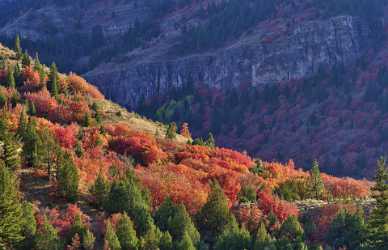 Logan Valley Utah River Tree Autumn Color Colorful Fine Art Fotografie Modern Wall Art Beach - 011892 - 01-10-2012 - 11267x7253 Pixel Logan Valley Utah River Tree Autumn Color Colorful Fine Art Fotografie Modern Wall Art Beach Shoreline Cloud Pass Fine Art Landscape Fine Art America Fine Art...