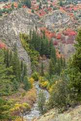 Logan River Utah Autumn Color Colorful Fall Foliage Sunshine Fine Art Prints For Sale Stock Images - 015571 - 21-09-2014 - 6872x10564 Pixel Logan River Utah Autumn Color Colorful Fall Foliage Sunshine Fine Art Prints For Sale Stock Images City Fine Art Photography Prints For Sale Fine Art...