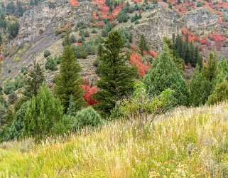 Logan River Utah Autumn Color Colorful Fall Foliage Photography Prints For Sale Fine Art Printer - 015574 - 21-09-2014 - 6847x5327 Pixel Logan River Utah Autumn Color Colorful Fall Foliage Photography Prints For Sale Fine Art Printer Fine Art Photos Outlook Shore What Is Fine Art Photography Fine...