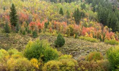 Logan River Utah Autumn Color Colorful Fall Foliage Fine Art Photography Prints For Sale - 015577 - 21-09-2014 - 11562x6912 Pixel Logan River Utah Autumn Color Colorful Fall Foliage Fine Art Photography Prints For Sale Fine Art Fotografie Fine Art Prints Stock Pictures Stock Photos Shore...