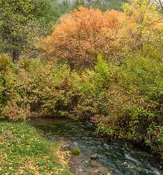 Camp Lomia Utah Autumn Color Colorful Fall Foliage Panoramic Royalty Free Stock Photos - 015593 - 21-09-2014 - 6472x6918 Pixel Camp Lomia Utah Autumn Color Colorful Fall Foliage Panoramic Royalty Free Stock Photos Fine Art Photography For Sale Forest Fine Art Photography Gallery Fine...