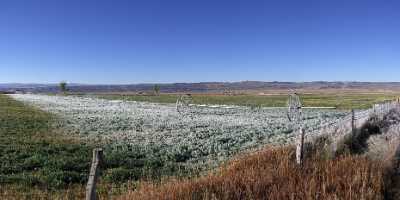 Lyman Utah Farm Field Frozen Landscape Color Outlook Coast Fine Art Nature Photography View Point - 006688 - 13-10-2010 - 8428x4087 Pixel Lyman Utah Farm Field Frozen Landscape Color Outlook Coast Fine Art Nature Photography View Point Beach Fine Art Photography Galleries Flower City Fine Art...