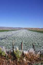 Lyman Utah Farm Field Frozen Landscape Color Outlook Park Photography Art Printing Grass Shoreline - 006720 - 13-10-2010 - 4222x6554 Pixel Lyman Utah Farm Field Frozen Landscape Color Outlook Park Photography Art Printing Grass Shoreline Tree Ice Photo Stock Photos Coast Image Stock Images Beach...