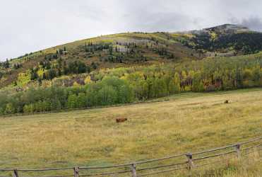 Park City Utah Town Street Fall Color Colorful Image Stock Grass Fine Art Foto Fine Art Prints - 015255 - 28-09-2014 - 12017x8098 Pixel Park City Utah Town Street Fall Color Colorful Image Stock Grass Fine Art Foto Fine Art Prints Fine Art Photo Autumn Stock Images Stock Modern Art Print Sky Art...