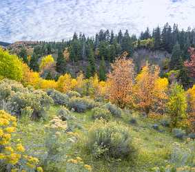 Payson Mount Nebo Loop Pass Utah Mountain Range Fine Art Photos Hi Resolution Sky - 014537 - 08-10-2014 - 6987x6182 Pixel Payson Mount Nebo Loop Pass Utah Mountain Range Fine Art Photos Hi Resolution Sky Royalty Free Stock Photos Image Stock Shoreline Modern Art Print Park View...