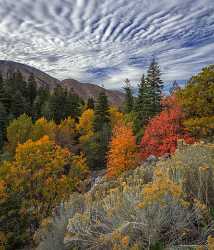 Payson Mount Nebo Loop Pass Utah Mountain Range Autumn Sale Summer Beach Hi Resolution Shoreline - 014538 - 08-10-2014 - 7293x8538 Pixel Payson Mount Nebo Loop Pass Utah Mountain Range Autumn Sale Summer Beach Hi Resolution Shoreline Sky Art Printing Fine Art Posters Stock Image Shore Fine Art...