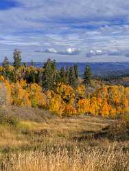 Payson Mount Nebo Loop Pass Utah Mountain Range Fine Art Prints Tree Art Photography Gallery - 014544 - 08-10-2014 - 7004x9329 Pixel Payson Mount Nebo Loop Pass Utah Mountain Range Fine Art Prints Tree Art Photography Gallery Fine Art Photographer Fine Art Foto Art Prints Royalty Free Stock...