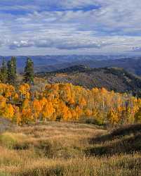 Payson Mount Nebo Loop Pass Utah Mountain Range Art Printing Shore Lake Fine Art Prints - 014545 - 08-10-2014 - 7035x8770 Pixel Payson Mount Nebo Loop Pass Utah Mountain Range Art Printing Shore Lake Fine Art Prints Fine Art Printing Fine Art Photos Forest Sale Western Art Prints For...