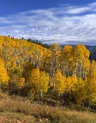 Payson Mount Nebo Loop Pass Utah Mountain Range Western Art Prints For Sale - 014547 - 08-10-2014 - 6672x8565 Pixel Payson Mount Nebo Loop Pass Utah Mountain Range Western Art Prints For Sale Royalty Free Stock Photos Forest Photography Fine Art Posters Fine Art Landscapes...