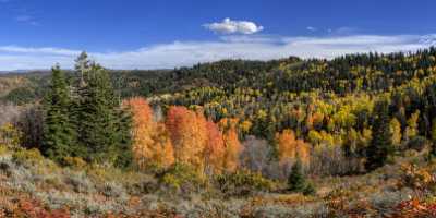 Payson Mount Nebo Loop Pass Utah Mountain Range Fine Art America Fine Art Photography For Sale - 014553 - 08-10-2014 - 16173x6807 Pixel Payson Mount Nebo Loop Pass Utah Mountain Range Fine Art America Fine Art Photography For Sale Fine Art Print Summer Fine Art Prints Fine Art Giclee Printing...