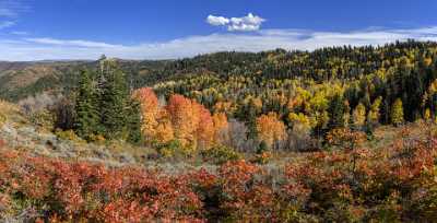 Payson Mount Nebo Loop Pass Utah Mountain Range Art Photography For Sale Ice Town Fine Art America - 014559 - 08-10-2014 - 12168x6206 Pixel Payson Mount Nebo Loop Pass Utah Mountain Range Art Photography For Sale Ice Town Fine Art America Fine Art Prints Landscape Fog Fine Art Photography For Sale...