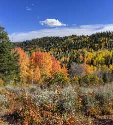 Payson Mount Nebo Loop Pass Utah Mountain Range Stock Images Animal Fine Art Photography Gallery - 014560 - 08-10-2014 - 6424x7140 Pixel Payson Mount Nebo Loop Pass Utah Mountain Range Stock Images Animal Fine Art Photography Gallery Stock Pictures Stock Landscape Ice Rock City Fine Art Pictures...