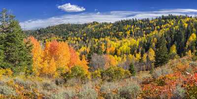 Payson Mount Nebo Loop Pass Utah Mountain Range Senic Fine Art Foto Art Photography Gallery Sky - 014561 - 08-10-2014 - 13088x6594 Pixel Payson Mount Nebo Loop Pass Utah Mountain Range Senic Fine Art Foto Art Photography Gallery Sky River Outlook Art Printing Prints Snow Park Lake Ice Photography...