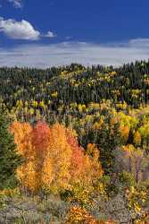 Payson Mount Nebo Loop Pass Utah Mountain Range Stock Images Fine Art Photography Galleries - 014562 - 08-10-2014 - 7006x12558 Pixel Payson Mount Nebo Loop Pass Utah Mountain Range Stock Images Fine Art Photography Galleries Art Photography Gallery Fine Art Landscape Photography Fine Arts...