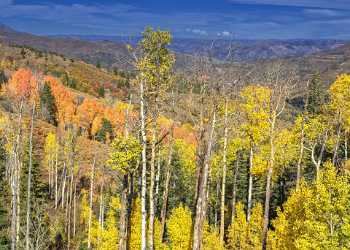 Payson Mount Nebo Loop Pass Utah Mountain Range Autumn Leave Fine Art Prints For Sale - 014564 - 08-10-2014 - 9764x6967 Pixel Payson Mount Nebo Loop Pass Utah Mountain Range Autumn Leave Fine Art Prints For Sale Fine Art Posters Cloud Image Stock Modern Wall Art Fine Art Print River...