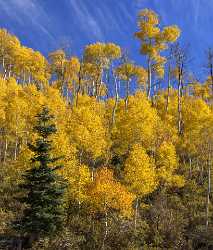 Payson Mount Nebo Loop Pass Utah Mountain Range Western Art Prints For Sale Fine Arts - 014565 - 08-10-2014 - 6144x7205 Pixel Payson Mount Nebo Loop Pass Utah Mountain Range Western Art Prints For Sale Fine Arts Photography Prints For Sale Outlook Art Prints Grass Images Fine Art...