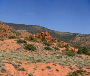 Pine Valley Mountains Silver Reef Utah Red Rock Grass Fine Art Prints Sunshine Art Printing Order - 008886 - 13-10-2011 - 8422x7040 Pixel Pine Valley Mountains Silver Reef Utah Red Rock Grass Fine Art Prints Sunshine Art Printing Order Fine Art Foto Forest Photo Fine Art Fine Art Printer Modern...