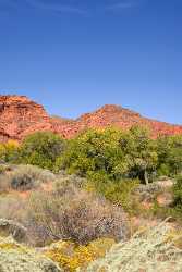 Pine Valley Mountains Silver Reef Utah Red Rock Art Prints Stock Images Fine Art Posters - 009516 - 13-10-2011 - 4824x8188 Pixel Pine Valley Mountains Silver Reef Utah Red Rock Art Prints Stock Images Fine Art Posters Art Photography Gallery Fine Art Stock Image Photography Prints For...