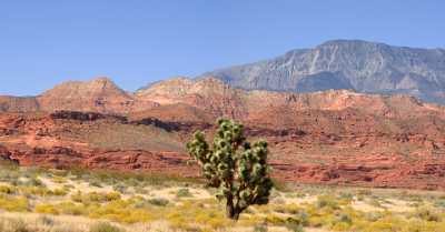 Pine Valley Mountains Silver Reef Utah Red Rock Fine Art America Shoreline Landscape Photography - 009521 - 13-10-2011 - 8500x4434 Pixel Pine Valley Mountains Silver Reef Utah Red Rock Fine Art America Shoreline Landscape Photography Island Western Art Prints For Sale Fine Art Giclee Printing...