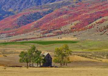 Preston Utah Maple Tree Autumn Color Colorful Fall Sea Shoreline Fine Art Photography - 011838 - 01-10-2012 - 10969x7715 Pixel Preston Utah Maple Tree Autumn Color Colorful Fall Sea Shoreline Fine Art Photography Landscape Photography Fine Art Landscape Photography Fine Art America...