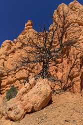 Red Canyon Birdseye Trail Utah Autumn Rock Shore Fine Art Landscape Fine Art Nature Photography - 015049 - 01-10-2014 - 6918x12906 Pixel Red Canyon Birdseye Trail Utah Autumn Rock Shore Fine Art Landscape Fine Art Nature Photography Photography Landscape Photography Fine Art Grass Fine Art...