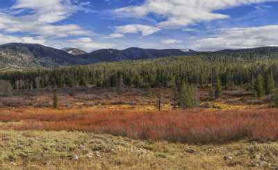 Samak Hayden Fork Utah Autumn Color Bush Forest Fine Art Prints For Sale View Point Island - 021837 - 19-10-2017 - 12691x7780 Pixel Samak Hayden Fork Utah Autumn Color Bush Forest Fine Art Prints For Sale View Point Island Art Printing Stock Image Royalty Free Stock Photos Stock Fine Art...