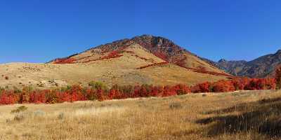 Smithfield Utah Maple Tree Autumn Color Colorful Fall Fine Art Photographers Fine Art Printer Cloud - 011866 - 01-10-2012 - 21625x7906 Pixel Smithfield Utah Maple Tree Autumn Color Colorful Fall Fine Art Photographers Fine Art Printer Cloud Art Photography Gallery Ice Grass Summer Sky Image Stock...