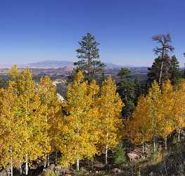 Torrey Utah Colorful Tree Lake Forest Landscape Red Fine Art America Fine Art Photos Stock Park - 006571 - 12-10-2010 - 6282x5964 Pixel Torrey Utah Colorful Tree Lake Forest Landscape Red Fine Art America Fine Art Photos Stock Park Fine Art Fine Art Foto Prints Fine Art Fotografie Animal What Is...