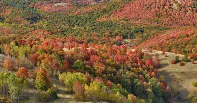 Wellsville Utah Tree Autumn Color Colorful Fall Foliage Images Summer Pass Fine Art - 011393 - 23-09-2012 - 11630x6087 Pixel Wellsville Utah Tree Autumn Color Colorful Fall Foliage Images Summer Pass Fine Art Photography Prints For Sale Royalty Free Stock Images Fine Art Giclee...