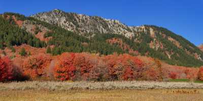 Wellsville Utah Tree Autumn Color Colorful Fall Foliage Fine Art America Order Fine Art Printer - 011901 - 02-10-2012 - 16576x7950 Pixel Wellsville Utah Tree Autumn Color Colorful Fall Foliage Fine Art America Order Fine Art Printer Grass Snow Art Prints Prints For Sale Cloud Fine Art Fine Art...