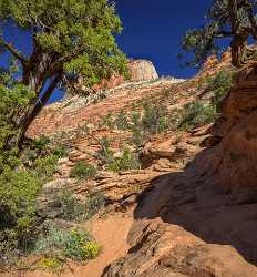 Zion National Park Canyon Overlook Trail Utah Autumn Stock Images Ice Fine Art Photography Stock - 015147 - 30-09-2014 - 7257x7817 Pixel Zion National Park Canyon Overlook Trail Utah Autumn Stock Images Ice Fine Art Photography Stock Cloud Forest Fine Art Print Fine Art Fine Art Photography...