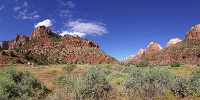 Springdale Zion National Park Utah Floor Of The Sale River Tree Landscape Stock Pictures View Point - 008391 - 07-10-2010 - 10133x4151 Pixel Springdale Zion National Park Utah Floor Of The Sale River Tree Landscape Stock Pictures View Point Hi Resolution Country Road Prints Fine Art Printer Lake Fine...