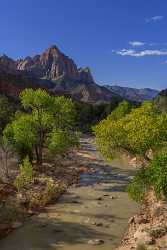 Zion National Park Mount Carmel Utah Autumn Red Fine Art Giclee Printing Outlook Country Road - 015088 - 01-10-2014 - 7077x11133 Pixel Zion National Park Mount Carmel Utah Autumn Red Fine Art Giclee Printing Outlook Country Road Fine Arts Art Prints For Sale Stock Image Sunshine Photo Modern...