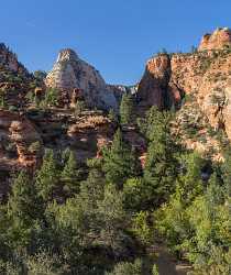 Zion National Park Mount Carmel Utah Autumn Red Fine Art Fotografie Modern Wall Art Fine Art - 015167 - 29-09-2014 - 6920x8223 Pixel Zion National Park Mount Carmel Utah Autumn Red Fine Art Fotografie Modern Wall Art Fine Art Fine Art Prints For Sale Modern Art Prints Tree Famous Fine Art...