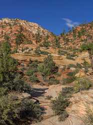 Zion National Park Mount Carmel Utah Autumn Red Fine Art Prints What Is Fine Art Photography Grass - 015170 - 29-09-2014 - 6745x9072 Pixel Zion National Park Mount Carmel Utah Autumn Red Fine Art Prints What Is Fine Art Photography Grass Animal Panoramic Fine Art Photographers Landscape Photography...