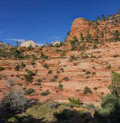 Zion National Park Mount Carmel Utah Autumn Red Stock Images Art Printing Modern Wall Art - 015171 - 29-09-2014 - 6684x6863 Pixel Zion National Park Mount Carmel Utah Autumn Red Stock Images Art Printing Modern Wall Art Modern Art Prints Creek Nature Photography Animal Stock Photos Winter...