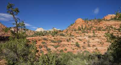 Zion National Park Mount Carmel Utah Autumn Red Prints Animal Sunshine View Point - 015173 - 29-09-2014 - 9954x5345 Pixel Zion National Park Mount Carmel Utah Autumn Red Prints Animal Sunshine View Point Fine Art Fotografie Fine Art Prints Fine Art Landscape Photography Fine Art...